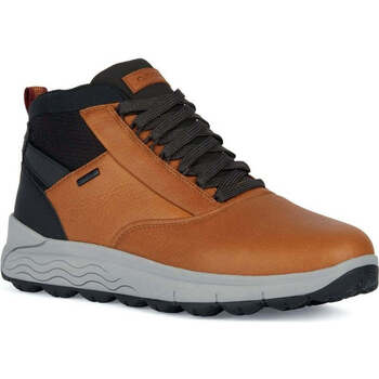 Chaussures Homme Boots Geox spherica 4x4 abx booties ochre Orange