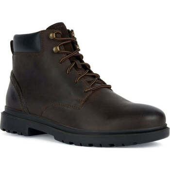 Chaussures Homme Boots Geox andalo booties coffee Marron