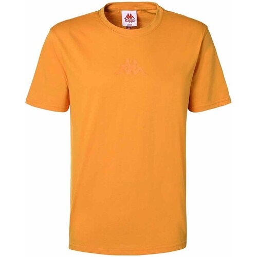 Vêtements Homme T-shirts manches courtes Kappa T-shirt Tikki Authentic Orange