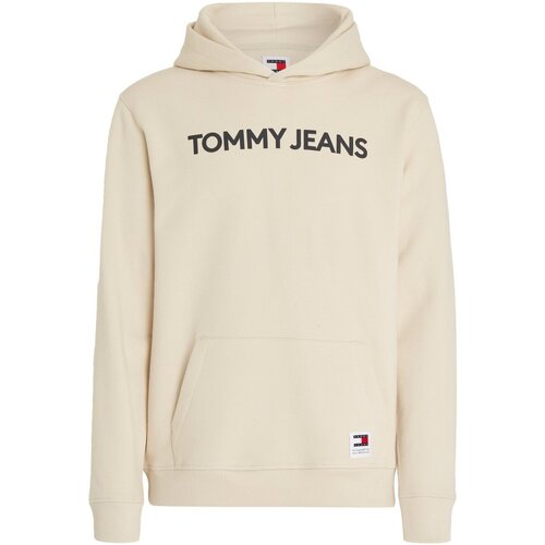 Vêtements Homme Sweats Tommy Jeans DM0DM18413 Noir