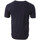 Vêtements Homme T-shirts & Polos Redskins RDS-MINT 2 Bleu