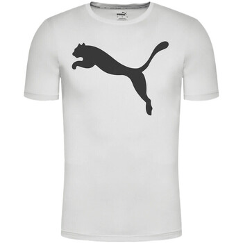 Vêtements Homme T-shirts manches courtes Puma running 586724-09 Gris