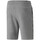 Vêtements Homme Shorts / Bermudas Puma 847387-03 Gris