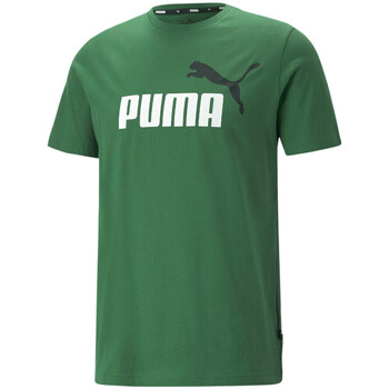 Vêtements Homme T-shirts & Polos Puma 586759-37 Vert