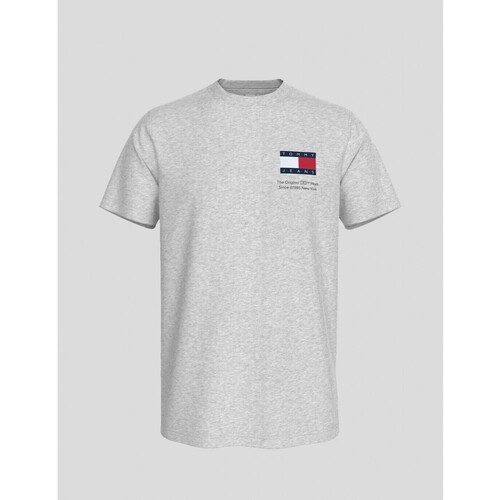 Vêtements Homme T-shirts manches courtes navy Tommy Jeans  Gris