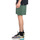 Vêtements Homme Shorts / Bermudas Element Cornell 3.0 Vert