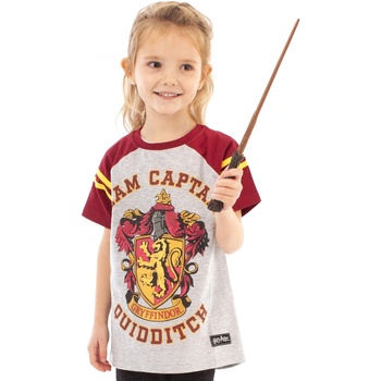 Vêtements Fille T-shirts manches courtes Harry Potter  Rouge