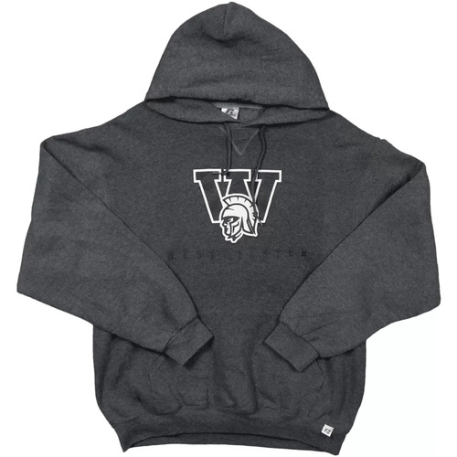 Vêtements Homme Sweats Russell Athletic Sweat à capuche Russell Athletic Hoodie Gris