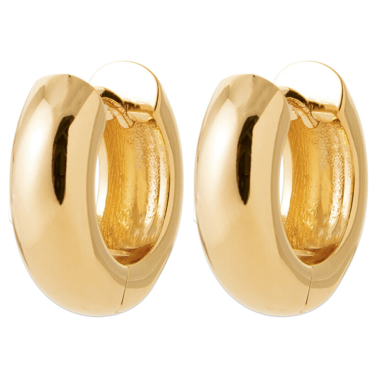 Montres & Bijoux Femme Boucles d'oreilles Brillaxis Créoles  fil creux 5mm

diamètre 15 mm Jaune