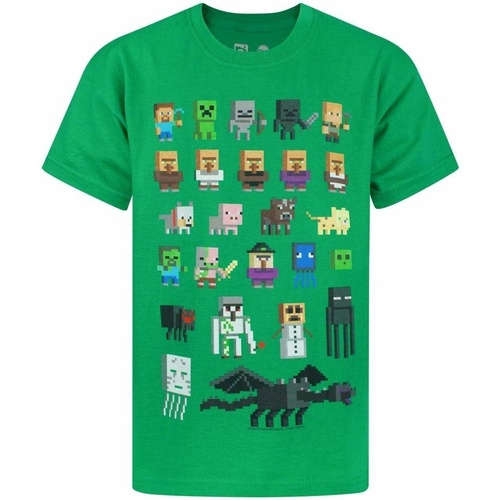 Vêtements Enfant T-shirts manches courtes Minecraft NS7307 Vert