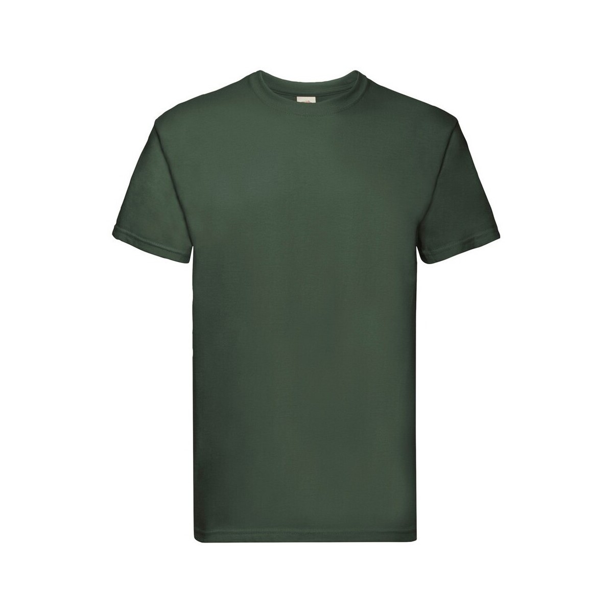 Vêtements Homme T-shirts manches longues Fruit Of The Loom SS044 Vert