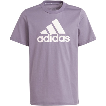 Vêtements Garçon T-shirts & Polos adidas Originals U Bl Tee Violet