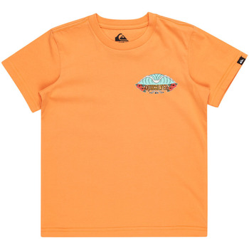 Vêtements Garçon Débardeurs / T-shirts sans manche Quiksilver Tropical Fade Orange