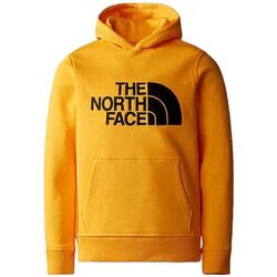 Vêtements Enfant Sweats The North Face Pull Drew Peak Hoodie Junior Summit Gold Jaune