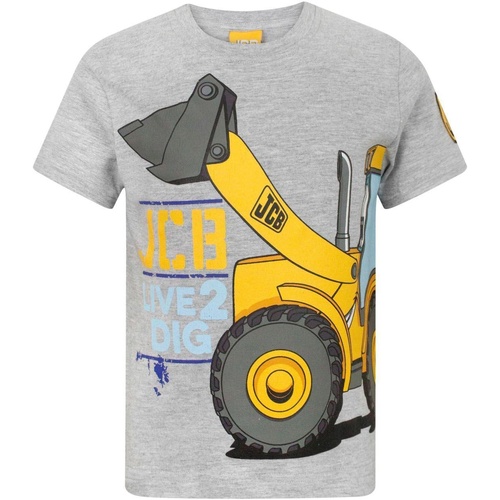 Vêtements Enfant T-shirts manches courtes Jcb Live 2 Dig Multicolore