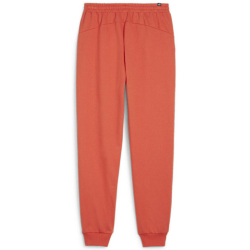 Vêtements Homme Pantalons de survêtement Tee Puma JOGGING FD MIF SWEAT PANT - FALL FOLIAGE - L Multicolore