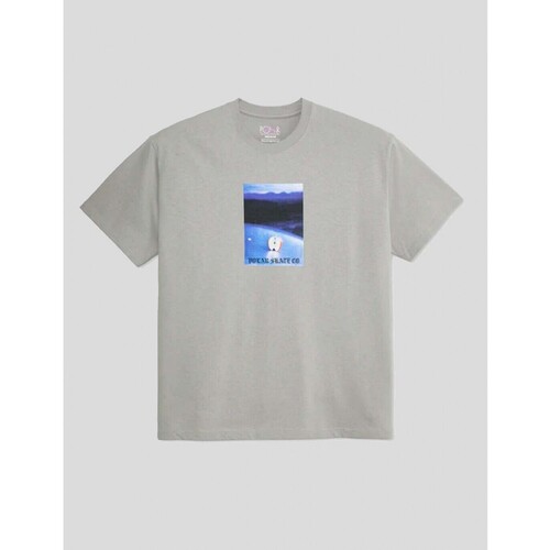 Vêtements Homme T-shirts manches courtes Polar Skate Co  Gris