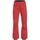 Vêtements Femme Pantalons Roxy - Pantalon de ski - rouge Autres