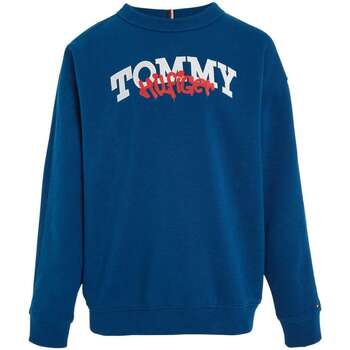 Vêtements Garçon Sweats Tommy Hilfiger 152760VTAH23 Bleu