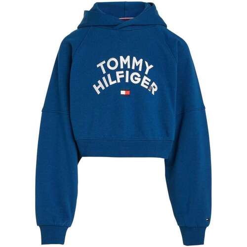 Vêtements Fille Sweats Tommy Hilfiger 152762VTAH23 Bleu