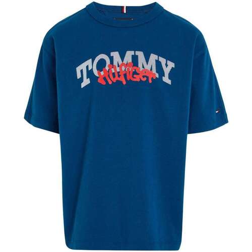 Vêtements Garçon T-shirts manches courtes Tommy Hilfiger 152764VTAH23 Bleu