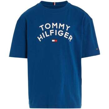 Vêtements Garçon T-shirts manches courtes Tommy Hilfiger 152765VTAH23 Bleu