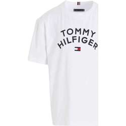 Vêtements Garçon T-shirts manches courtes Tommy Hilfiger 152766VTAH23 Blanc