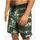 Vêtements Homme Maillots / Shorts de bain Quiksilver Blank Canvas Gregg Kaplan Scallop 18