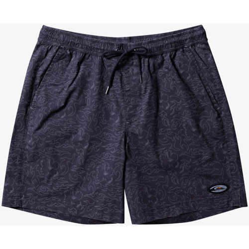 Vêtements Homme Shorts / Bermudas Quiksilver Saturn Taxer 18