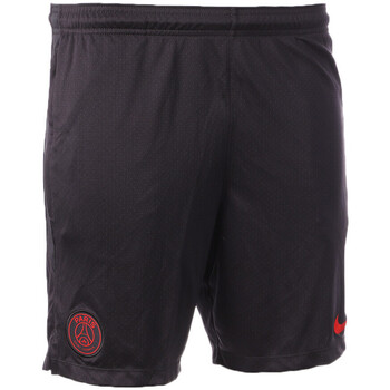 Vêtements Homme Shorts / Bermudas Nike AQ1222-082 Noir
