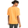 Vêtements Femme Débardeurs / T-shirts sans manche Roxy Sand Under The Sky Orange