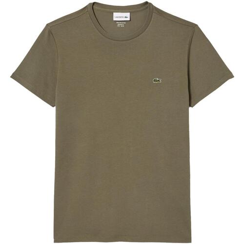 Vêtements Homme T-shirts manches courtes 7-42SFA00162L6 Lacoste Tee-shirts core essentials Kaki