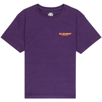 Vêtements Garçon T-shirts & Polos Element Galactica Violet