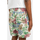 Vêtements Homme Shorts / Bermudas Element Cairn Twill Blanc