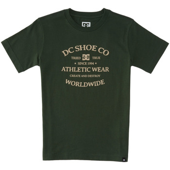 Vêtements Garçon T-shirts manches courtes DC trail Shoes World Renowed Vert