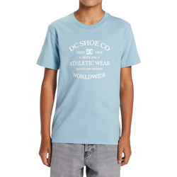 Vêtements Garçon T-shirts manches courtes DC Shoes Balance World Renowed Bleu