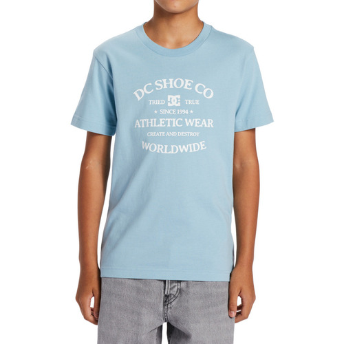 Vêtements Garçon T-shirts manches courtes DC ARC-HOGA-02SB Shoes World Renowed Bleu