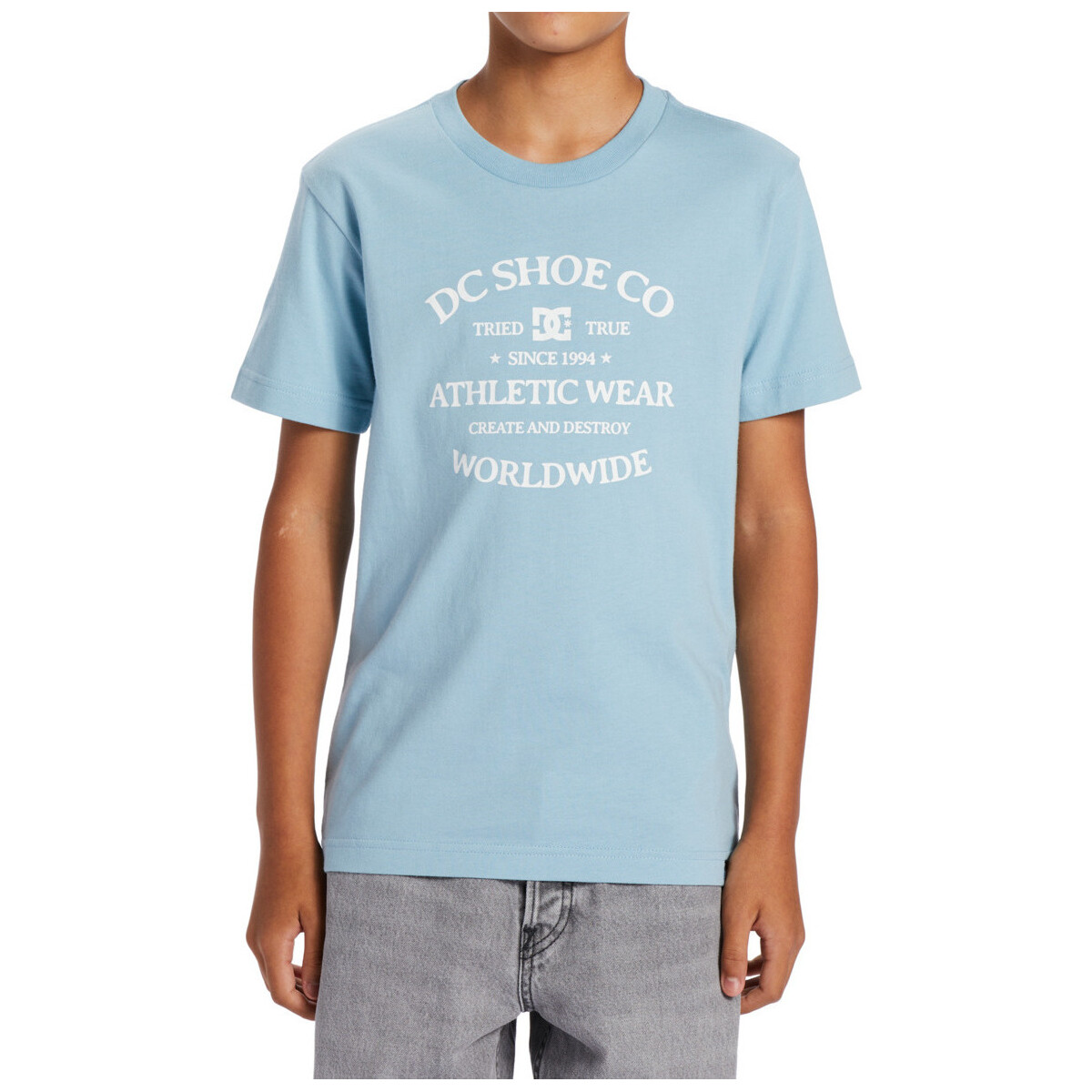 Vêtements Garçon T-shirts manches courtes DC Shoes World Renowed Bleu