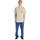 Vêtements Homme T-shirts manches courtes DC Shoes DC Star Beige