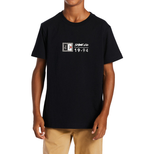 Vêtements Garçon T-shirts manches courtes DC Platform Shoes DC Split Star Gris