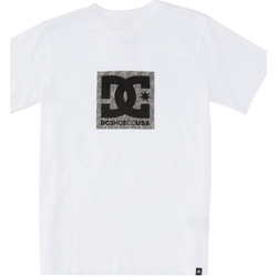 Vêtements Garçon T-shirts manches courtes DC Shoes DC Square Star Fill Blanc