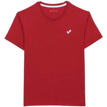 Vêtements Garçon T-shirts manches courtes Kaporal POMEOH23B11 Rouge