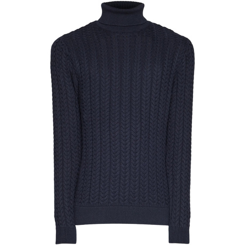 Vêtements Homme Sweats Selected Slhbrai Ls Knit Cable Roll Neck W Bleu
