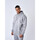 Vêtements Homme Sweats Project X Paris Hoodie 2322046 Gris