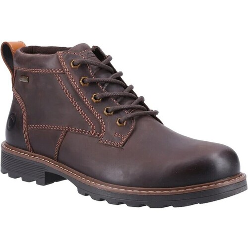 Chaussures Homme Bottes Cotswold Falfield Multicolore