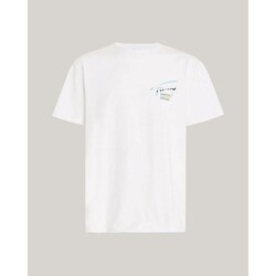 Vêtements Homme T-shirts manches courtes Tommy Hilfiger DM0DM18283YBR Blanc