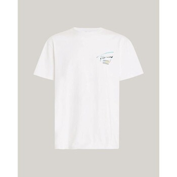 Vêtements Homme T-shirts manches courtes Tommy Hilfiger DM0DM18283 Blanc
