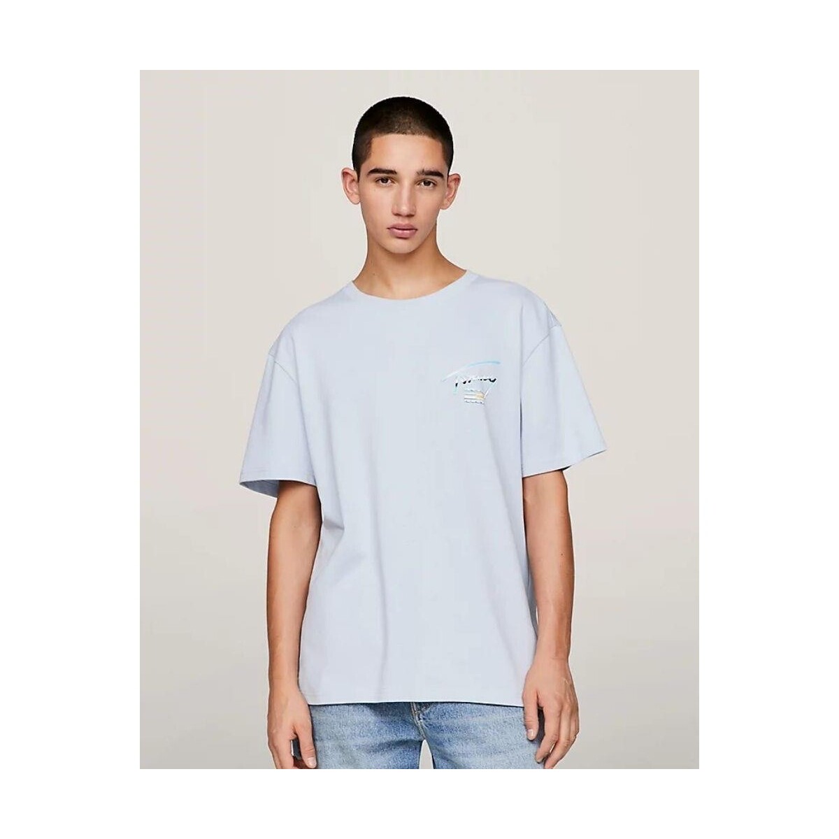 Vêtements Homme T-shirts manches courtes Tommy Hilfiger DM0DM18283C1O Bleu