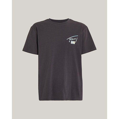 Vêtements Homme T-shirts manches courtes Tommy Hilfiger DM0DM18283PUB Bleu
