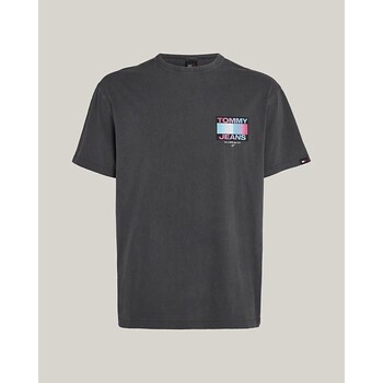 Vêtements Homme T-shirts manches courtes Tommy Hilfiger DM0DM18300PUB Bleu